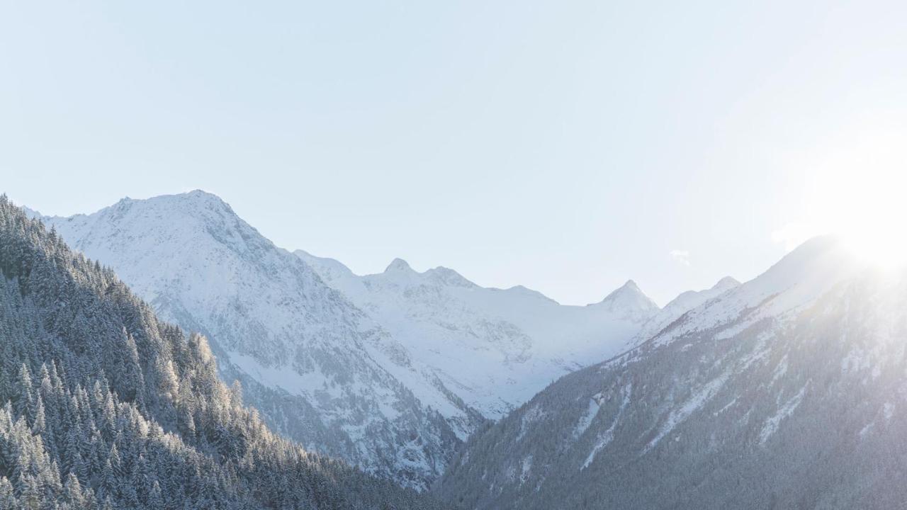 Haus Gleinser - Neustift Im Stubaital Exteriér fotografie